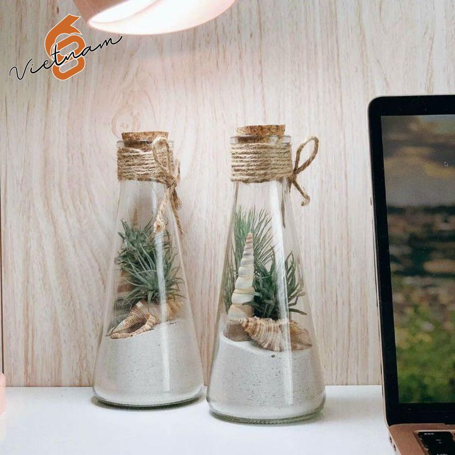 Chai Nón Nắp Gỗ