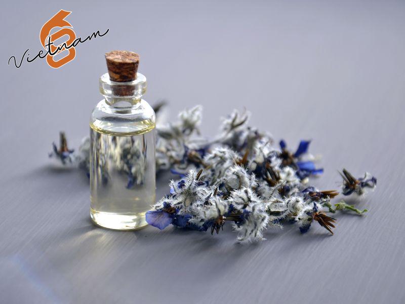 Mục tiêu và tầm nhìn của công ty 68 Việt Nam