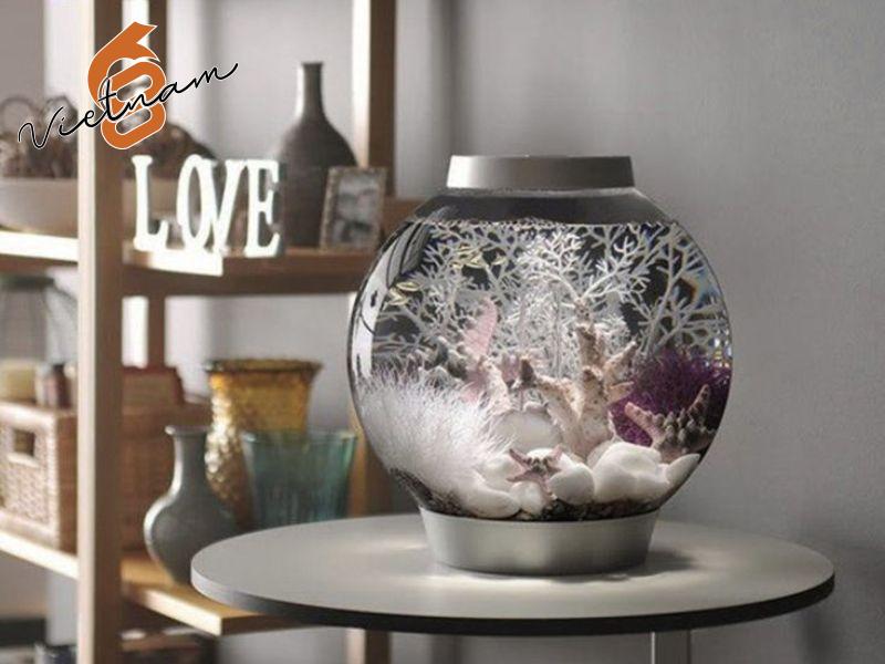 Câu hỏi thường gặp